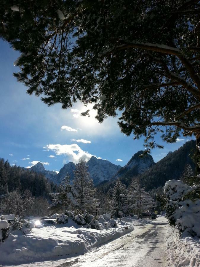 Apartmaji Gros Kranjska Gora Extérieur photo